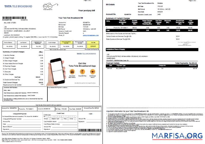 Printable India Tata Tele Broadband utility bill template in Word and PDF formats, 2 pages
